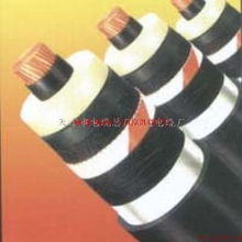 天津電纜廠2×2.5、5×4、5×16電力電纜產(chǎn)品資料詳解